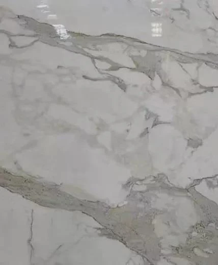 鱼肚白2 鱼肚白2