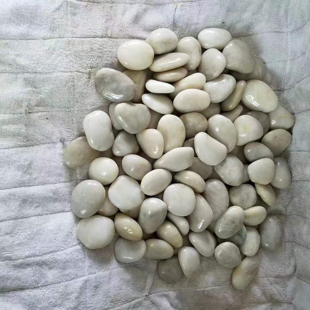 _20220425093652 _20220425093652